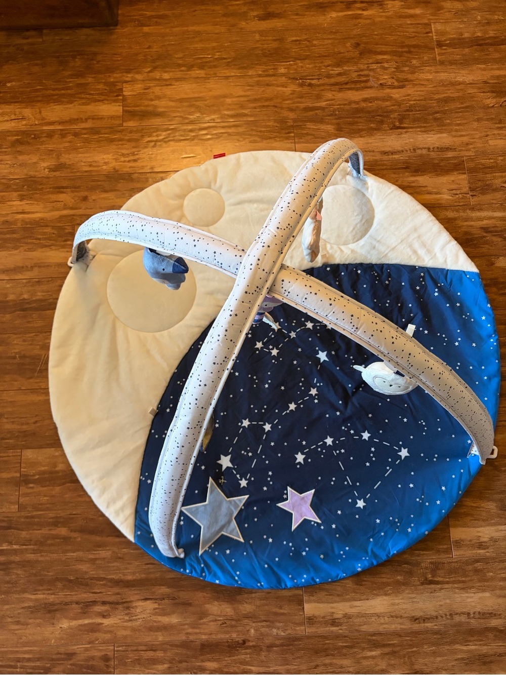 Skip Hop Celestial Dreams Activity Gym